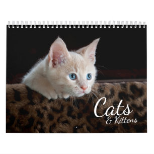 Cats and Kittens Pet Photo Calendar
