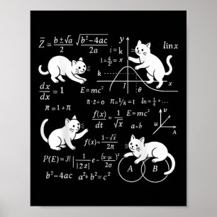 Cats And Math Lover Funny Cat Lover Science Teache Poster