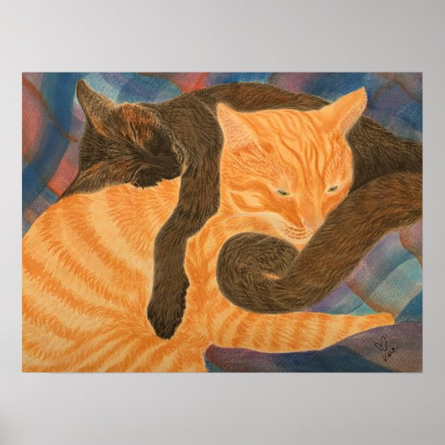 Cats And Plaid Poster (Front)