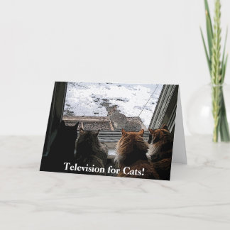 Cats and Squirrel Card