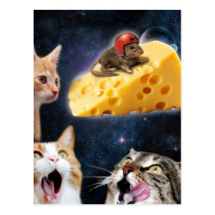 Cats and the mouse on the cheese postcard