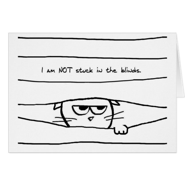 Cats and window blinds - Funny Cat Card (Front Horizontal)