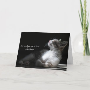 Cats are Angels come to Earth, notecard