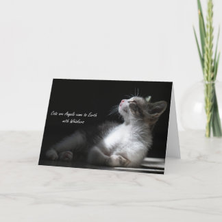 Cats are Angels come to Earth, notecard