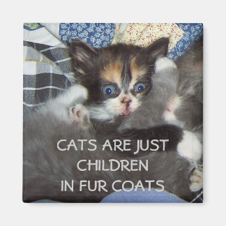 CATS ARE JUST CHILDREN IN FUR COATS MAGNET