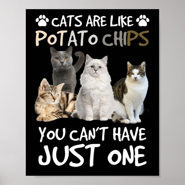 Cats Are Like Potato Chips Cat Lovers Tee Kitty Poster (Front)