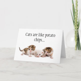 Cats Are Like Potato Chips Funny Birthday Card