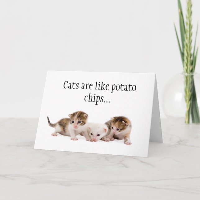 Cats Are Like Potato Chips Funny Birthday Card (Front)