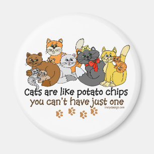 Cats are like potato chips magnet