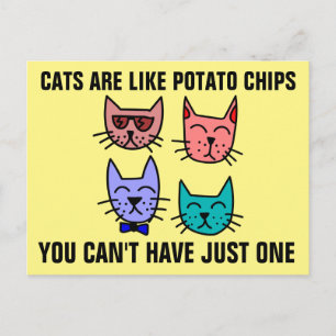 CATS ARE LIKE POTATO CHIPS YOU CAN'T HAVE JUST ONE POSTCARD
