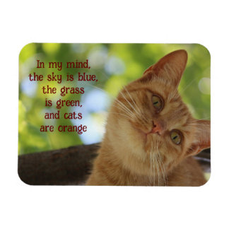 Cats Are Orange Magnet