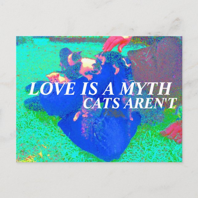 cats are real postcard (Front)