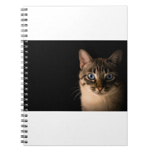 Cats Are The Best 20 Notebook