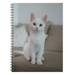 Cats Are The Best 42 Notebook