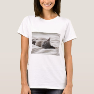 Cats Are The Best 66 T-Shirt
