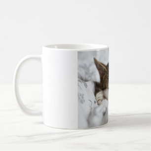 Cats Are The Best 69 Coffee Mug