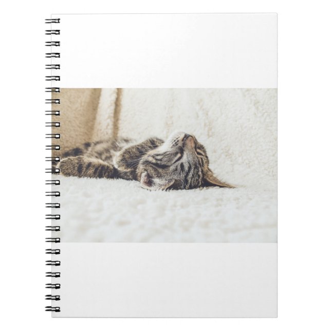 Cats Are The Best 88 Notebook (Front)