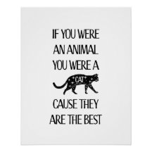 Cats are the best.. Glossy Poster