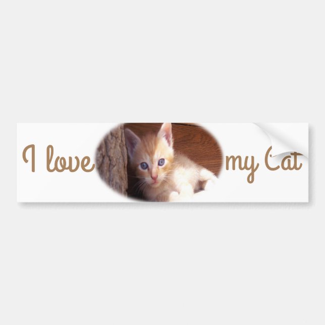 Cats Bumper Sticker (Front)