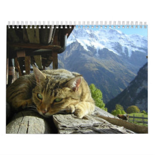 Cats Calendar
