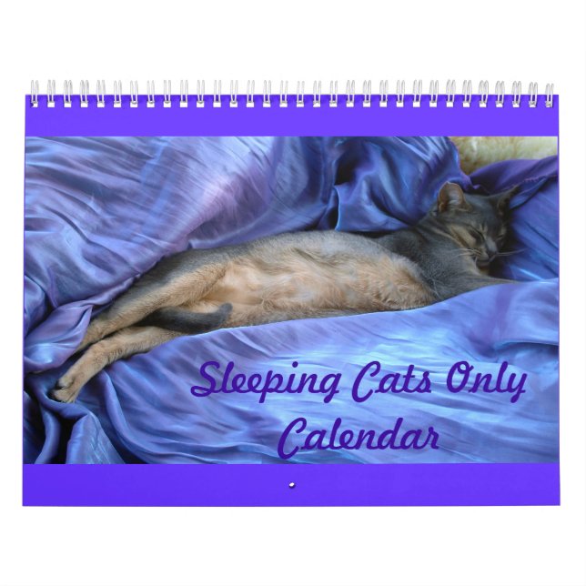 Cats Calendar (Cover)