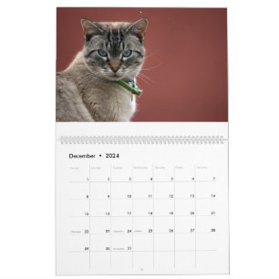 Cats Calendar