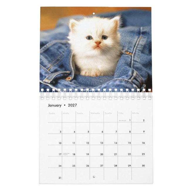 Cats Calendar 2012 (Jan 2027)