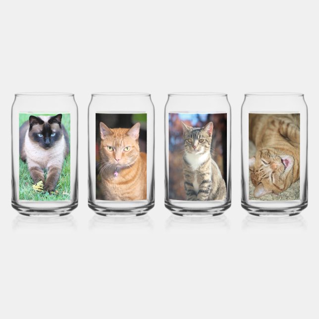Cats Can Glass (Front)