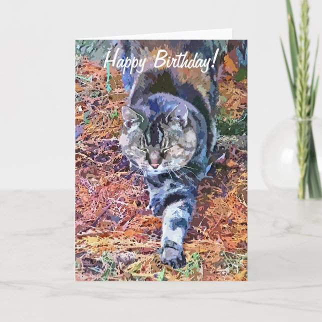 CATS CARD (Front)