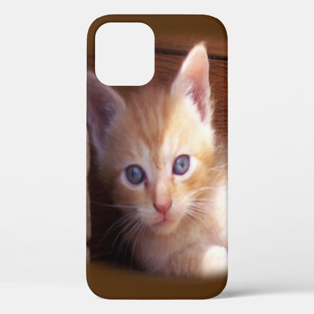 Cats Case-Mate iPhone Case (Back)