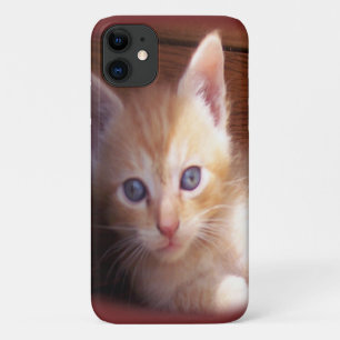 Cats iPhone 11 Case