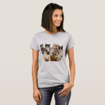 cats, cats and cats T-Shirt<br><div class="desc">it's just cats</div>