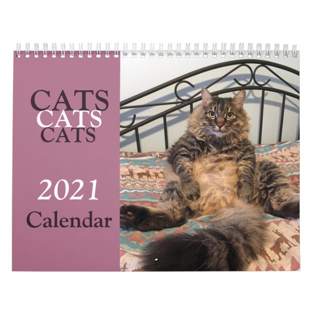 Cats Cats Cats Calendar (Cover)