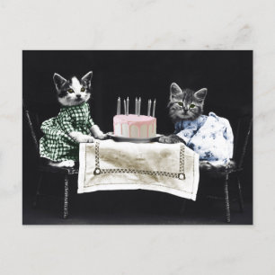 Cats celebrating a birthday with cake and candles postcard