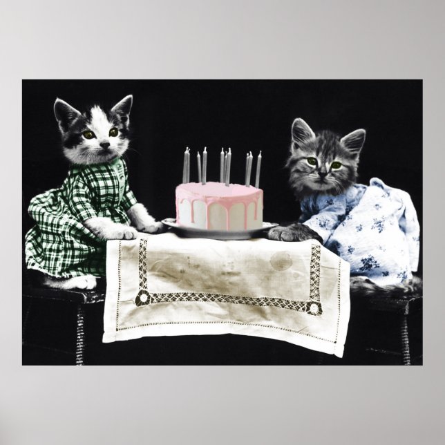 Cats celebrating a birthday with cake and candles poster (Front)