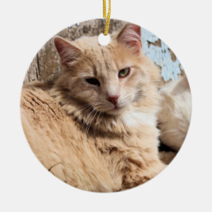Cats Ceramic Ornament