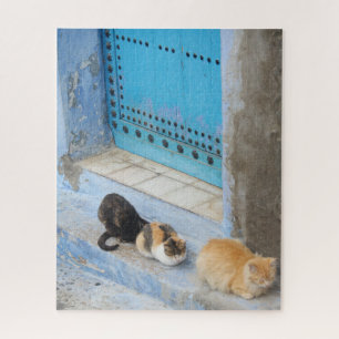 Cats, Chefchaouen, Morocco Jigsaw Puzzle