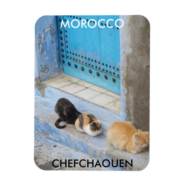 Cats, Chefchaouen, Morocco Magnet (Vertical)