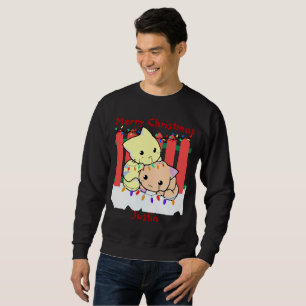 Cats christmas out door, personalized name    sweatshirt