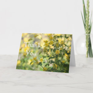 Cats-Claw Thank you Card