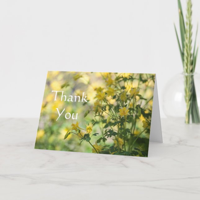 Cats-Claw Thank you Card (Front)