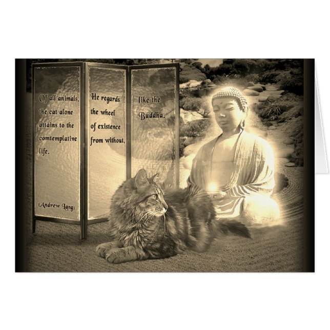 Cats contemplative like Buddha (Front Horizontal)