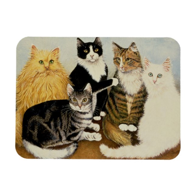 Cat's Cradle Magnet (Horizontal)