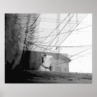 Cat's Cradle Poster