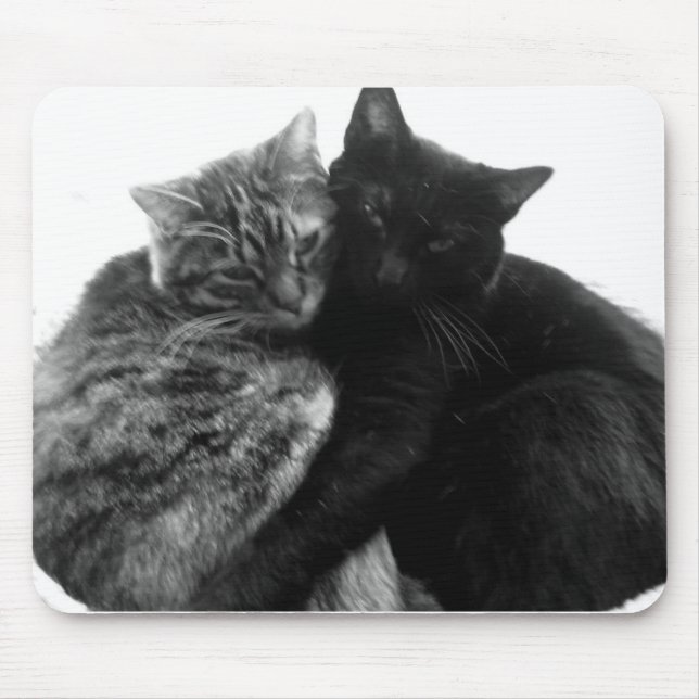 Cats Cuddling Mousepad (Front)