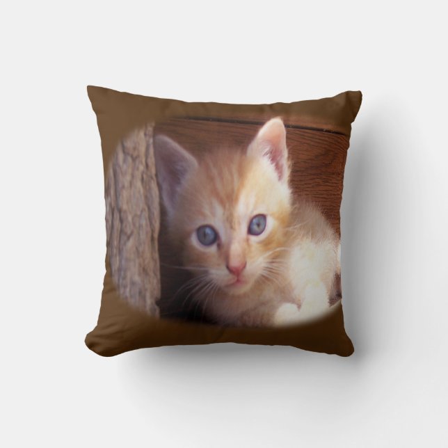 Cats Cushion (Front)