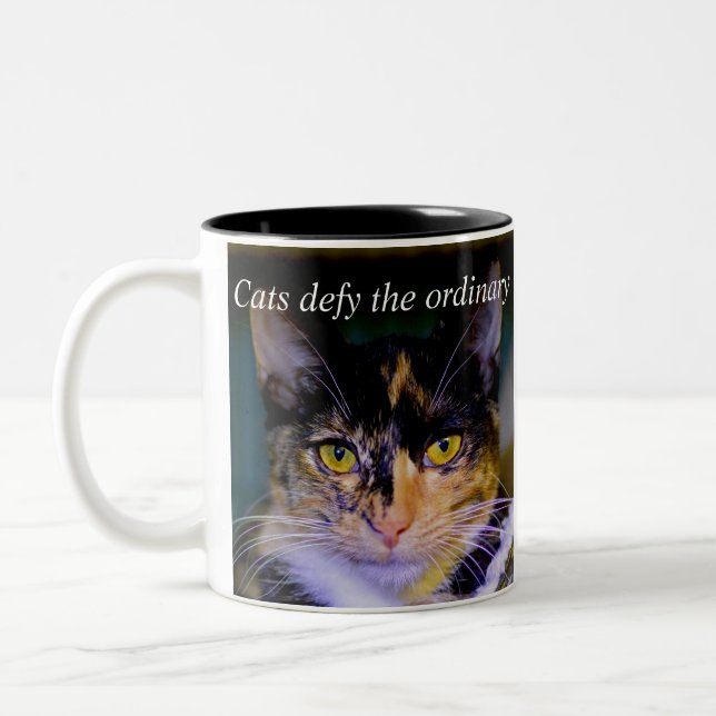 "Cats defy the ordinary" Coffee Mug (Left)