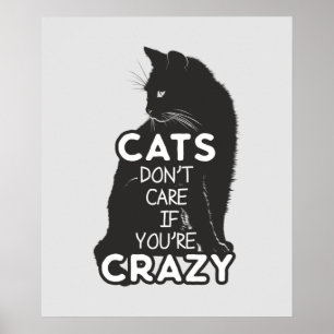 Cats Don't Care if You're Crazy Poster