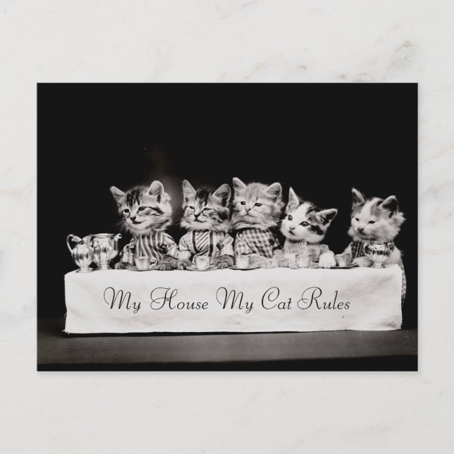 Cats Dressed Vintage Tea Postcard (Front)