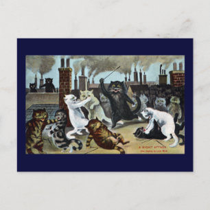 Cats Duke It Out on a Rooftop Postcard